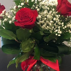 Meet your Posher, Daniela